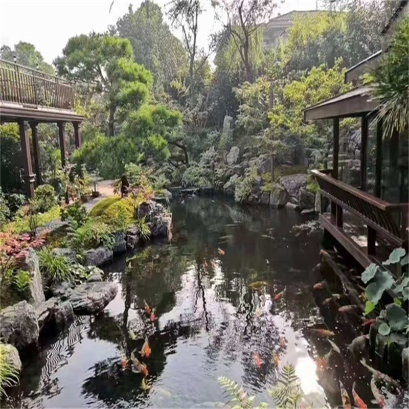 泉州假山植物小鱼池